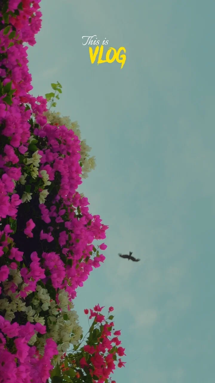 Hindi Song CapCut Templates